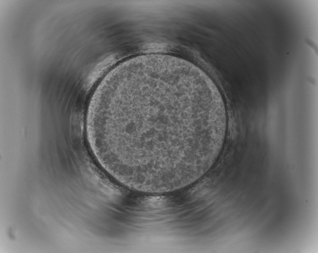 X0000103960059200810171911