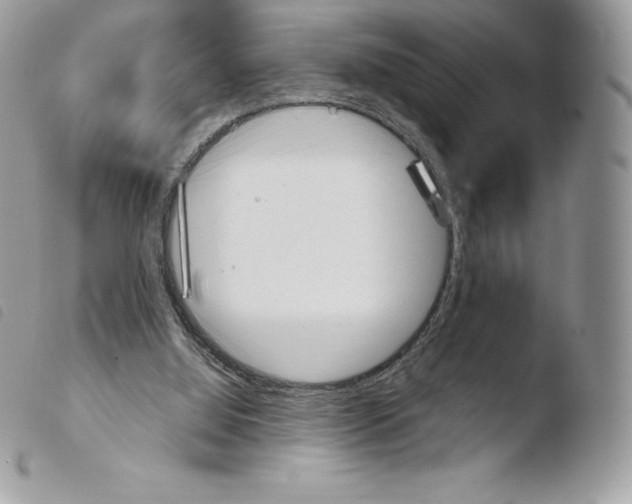 X0000103960060200810171911