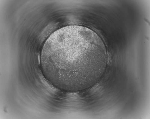 X0000103960061200810171911
