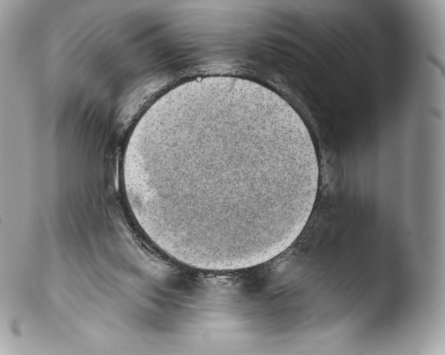 X0000103960062200810171911