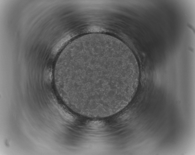 X0000103960063200810171911