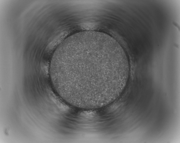X0000103960065200810171911