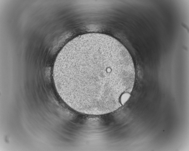 X0000103960066200810171911