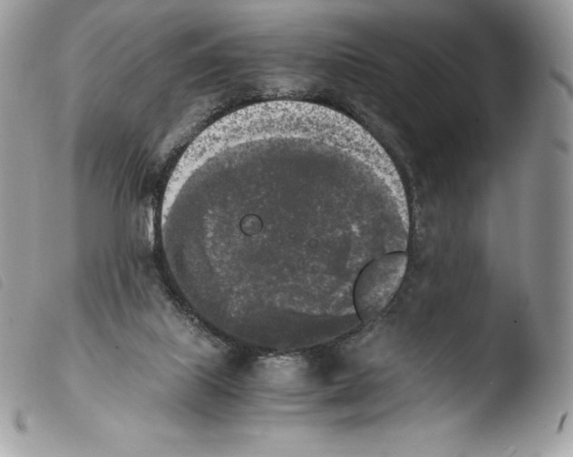 X0000103960067200810171911