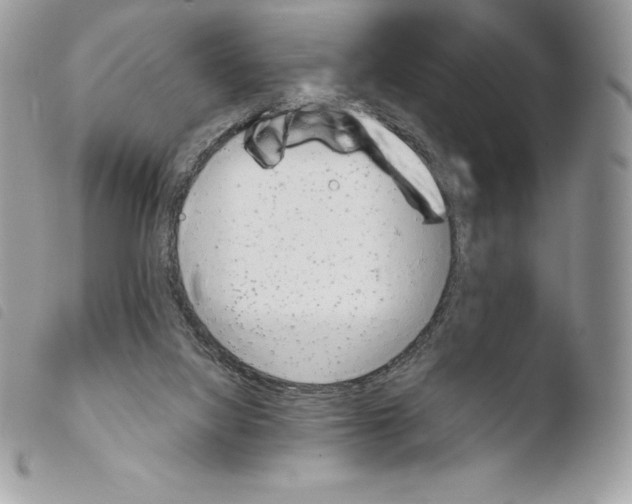 X0000103960068200810171911