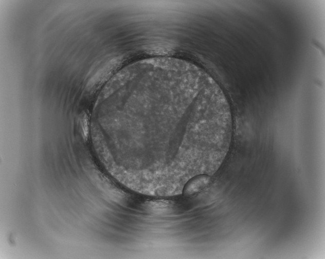 X0000103960069200810171911