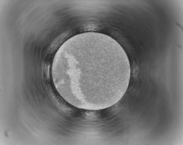 X0000103960070200810171911