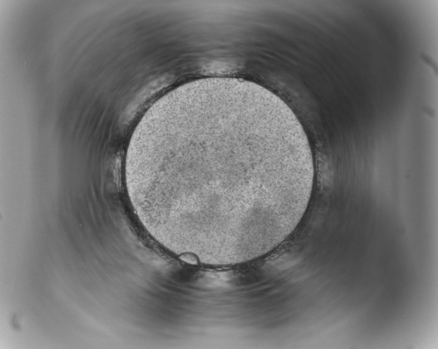 X0000103960071200810171911