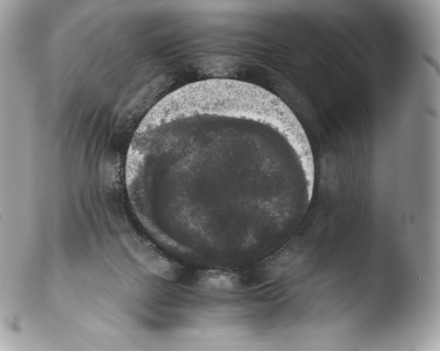 X0000103960073200810171911