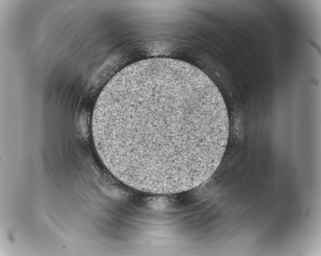 X0000103960074200810171911