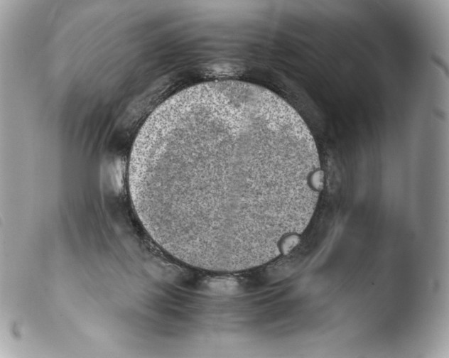 X0000103960075200810171911