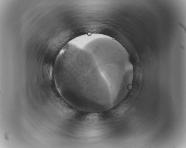X0000103960076200810171911