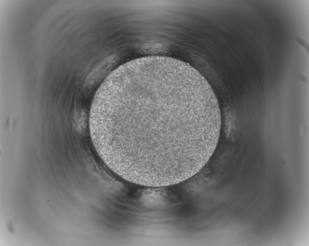 X0000103960077200810171911