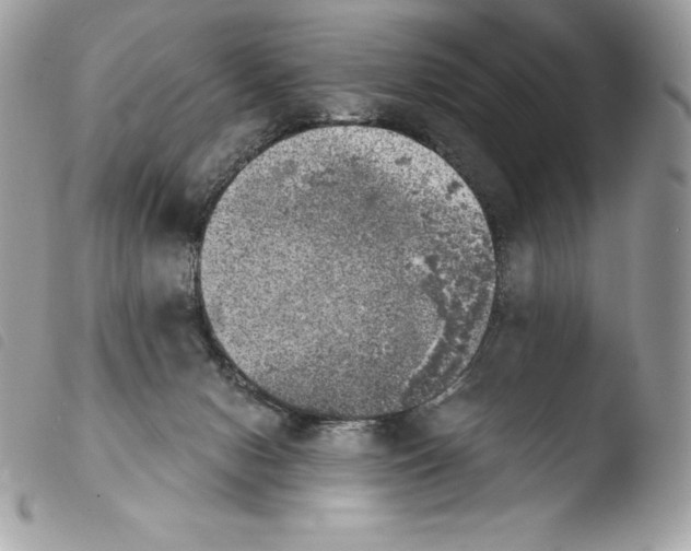 X0000103960078200810171911