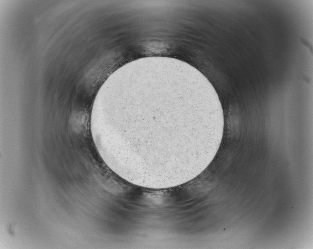 X0000103960079200810171911