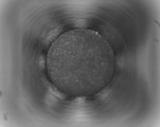 X0000103960080200810171911