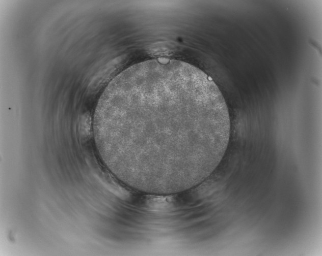 X0000103960081200810171911