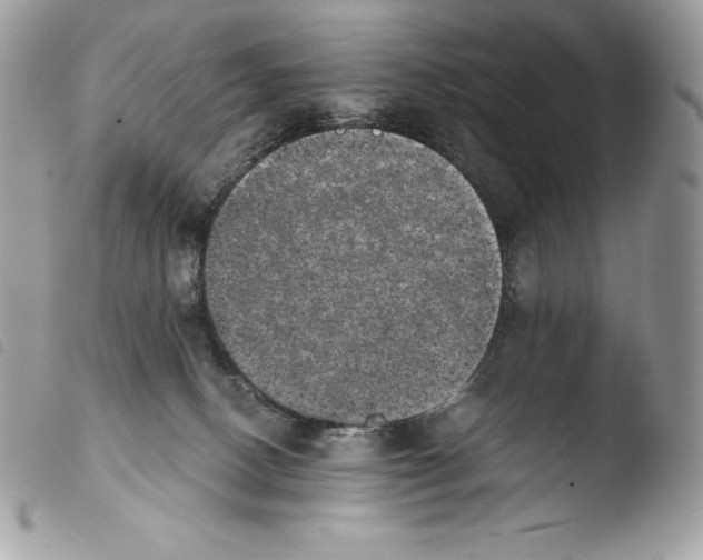 X0000103960082200810171911