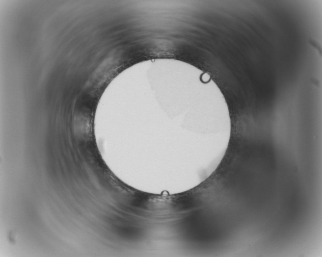 X0000103960084200810171911