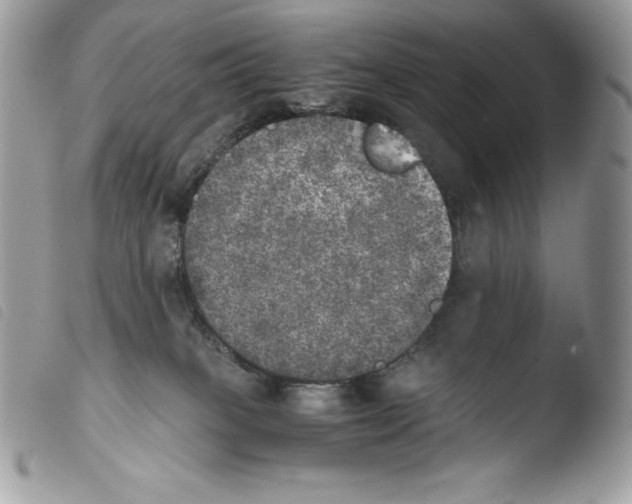 X0000103960085200810171911