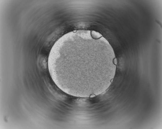 X0000103960086200810171911
