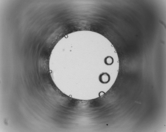 X0000103960088200810171911
