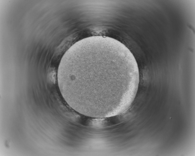 X0000103960090200810171912
