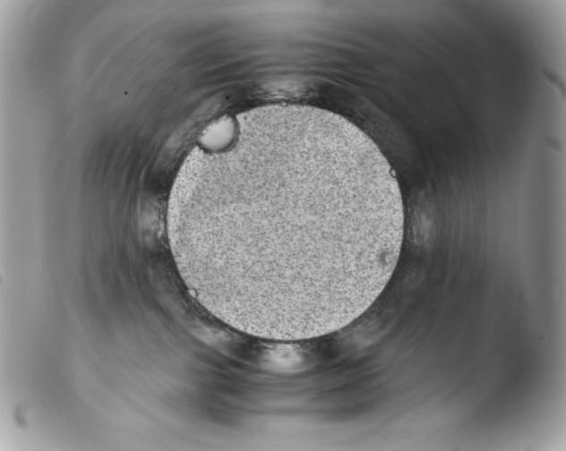 X0000103960091200810171912