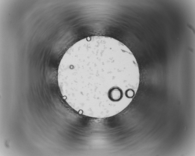 X0000103960092200810171912