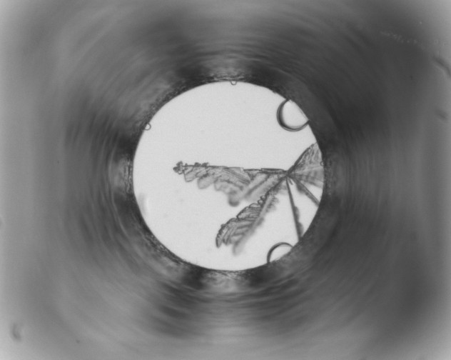 X0000103960093200810171912