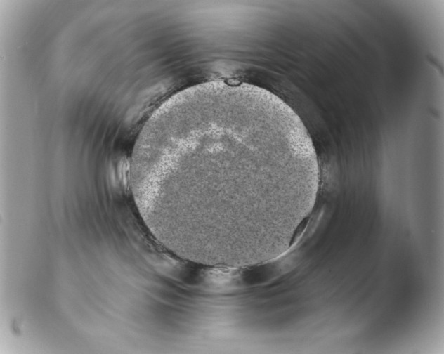 X0000103960094200810171912
