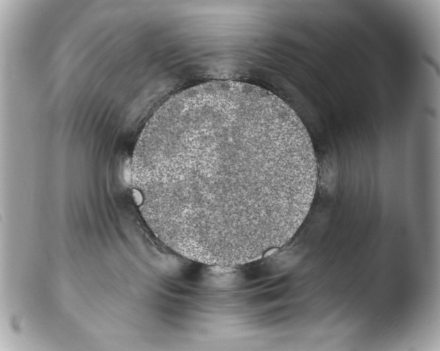 X0000103960095200810171912