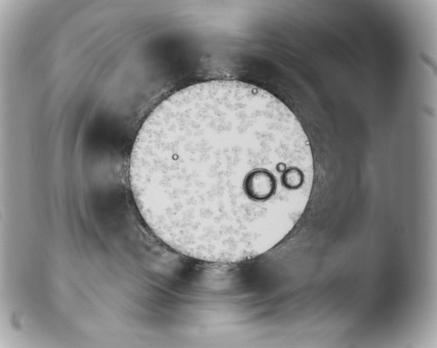 X0000103960096200810171912