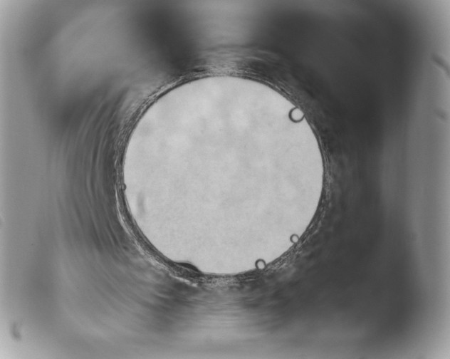 X0000103960097200810171911