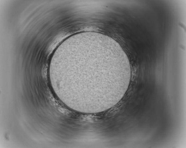 X0000103960098200810171911
