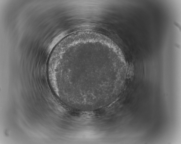 X0000103960099200810171911