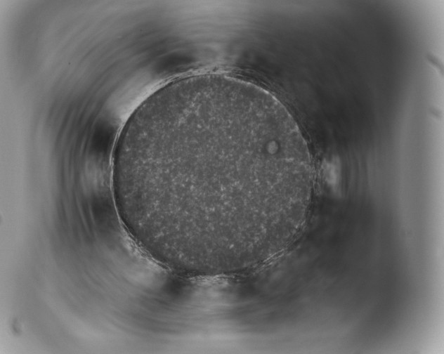 X0000103960100200810171911