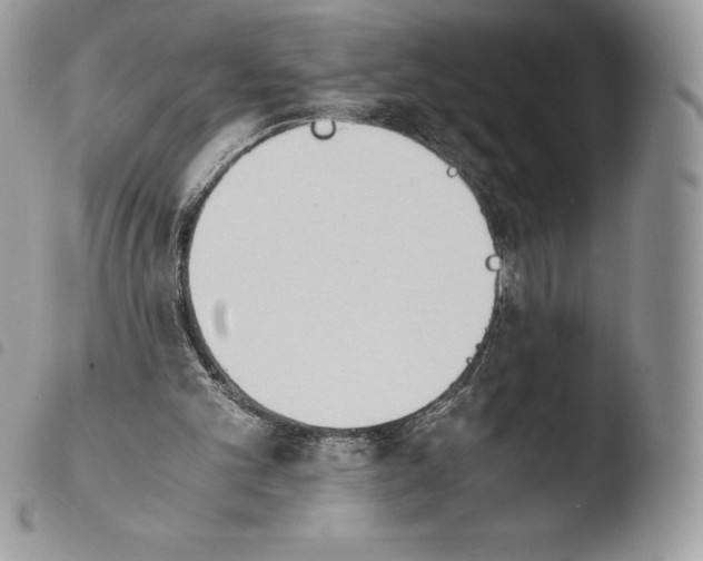 X0000103960101200810171911