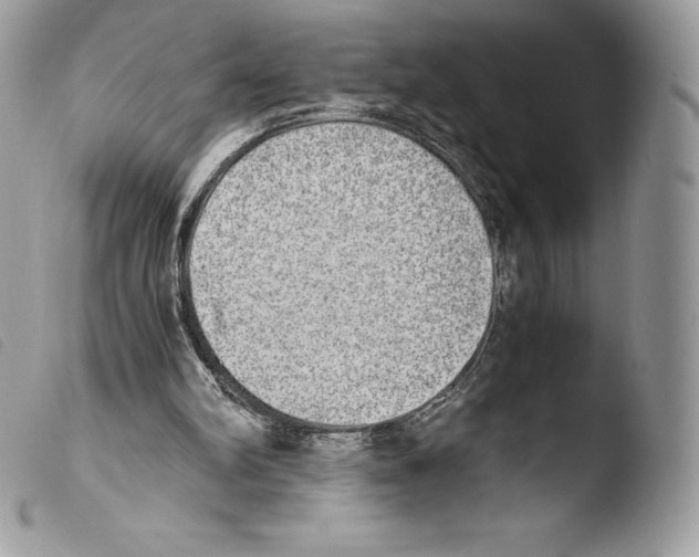 X0000103960102200810171911