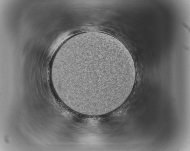 X0000103960103200810171911