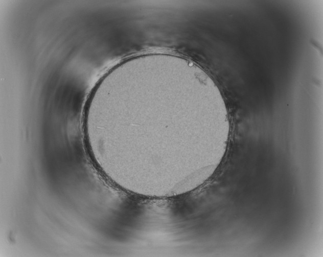 X0000103960104200810171911