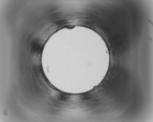 X0000103960105200810171910