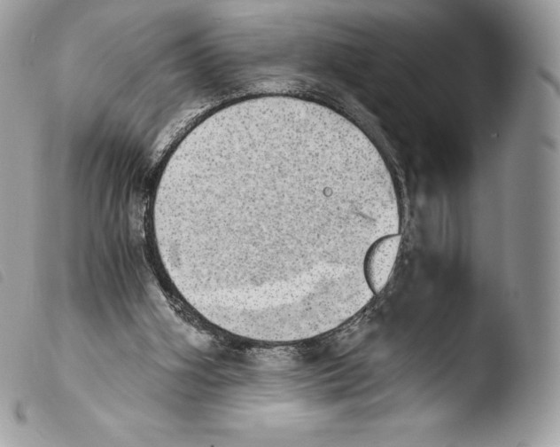 X0000103960106200810171910