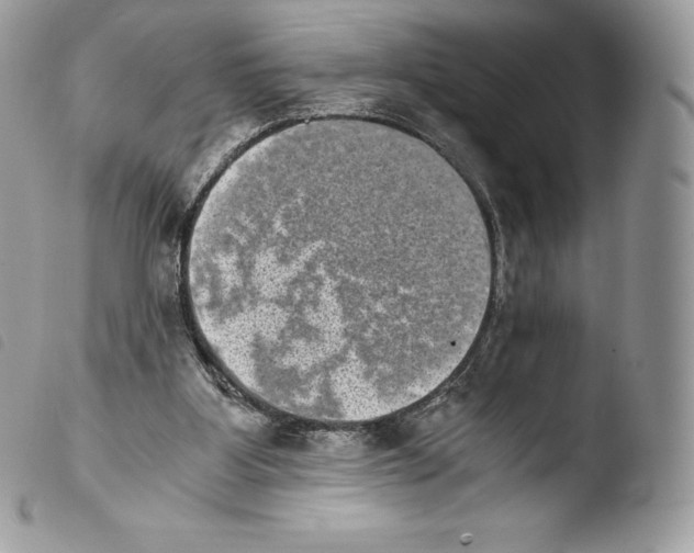 X0000103960107200810171910