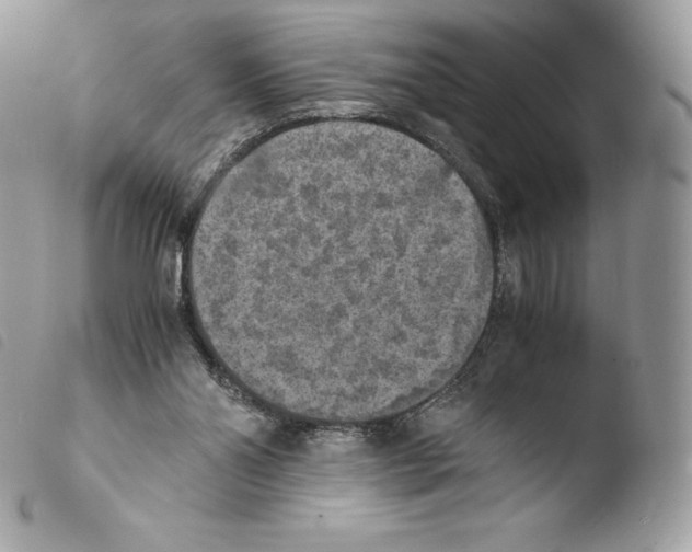 X0000103960110200810171910