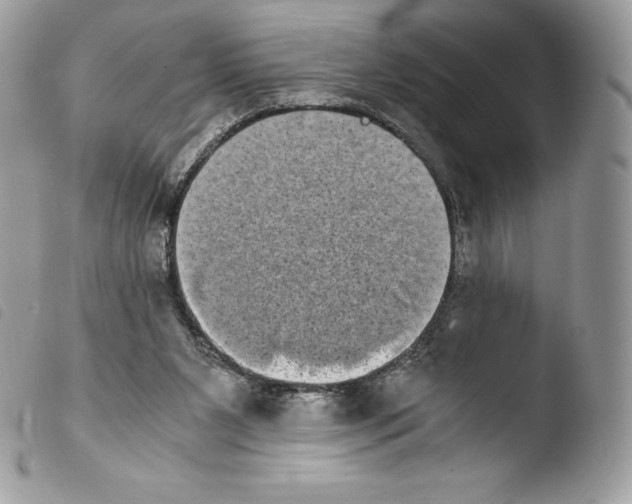 X0000103960111200810171910