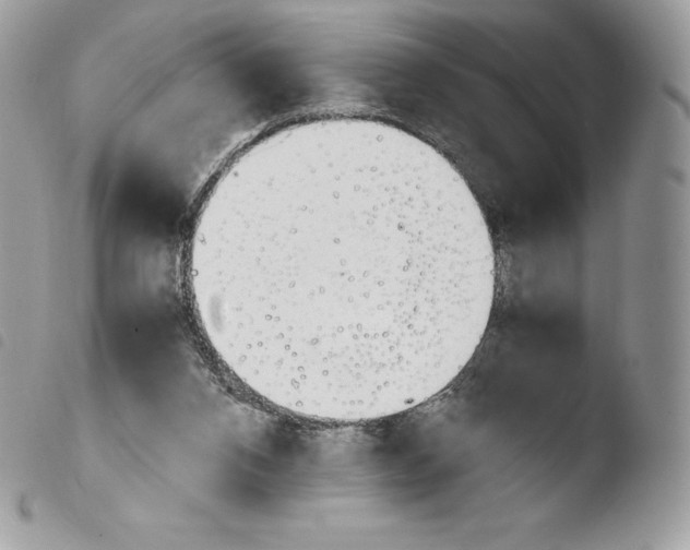 X0000103960112200810171910