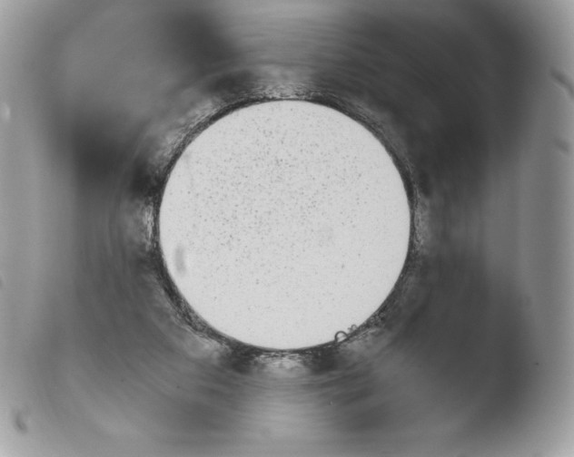 X0000103960113200810171910