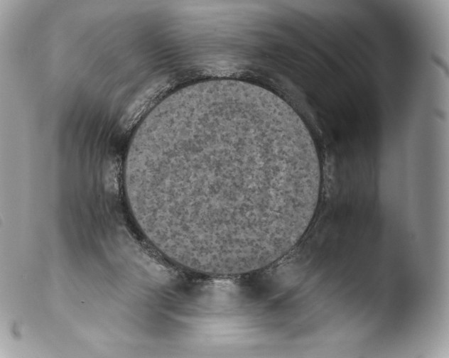 X0000103960114200810171910