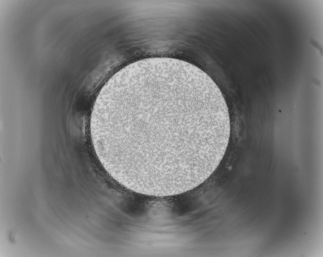 X0000103960115200810171910